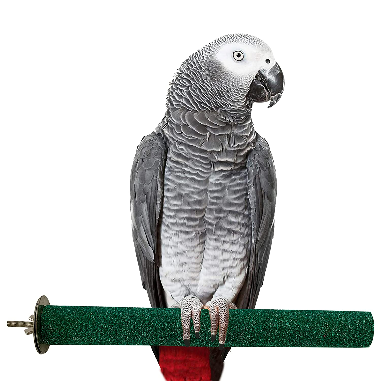 Zymal Store 4 pack set of Bird Perches Natural Wood and stone grinding Parrot Perch for Parakeet Cage Accessories for Parrots, Parakeets Cockatiels, Conures, Macaws, Love Birds, Finches Grinding Stick for Parrot Rough surfaced nail Beak Feet - Image 4