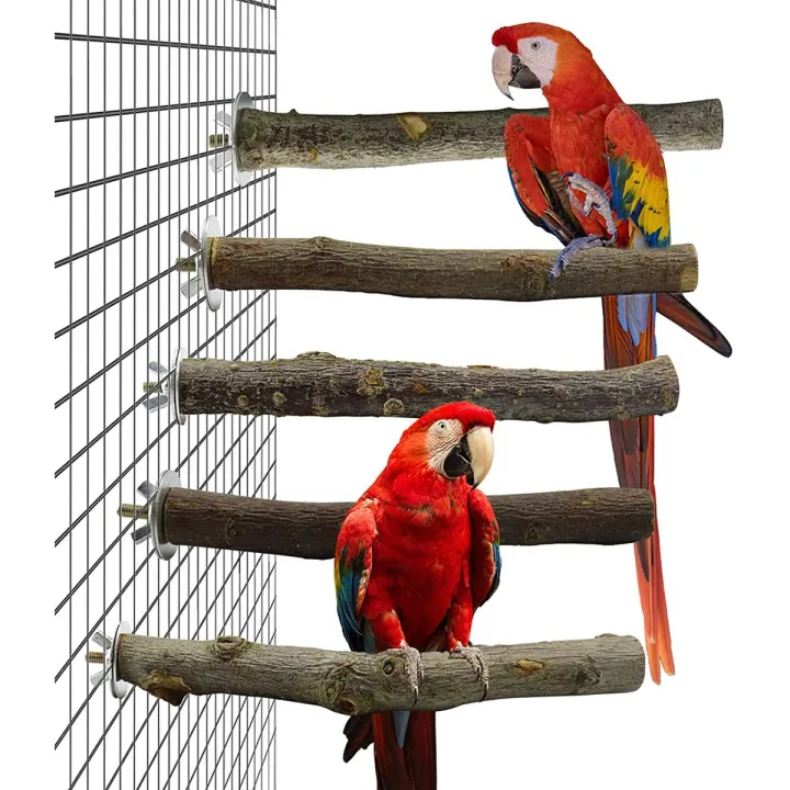 5 pack Bird Perch Parrot Stand Natural Wood Branch Platform Paw Grinding Stick Toys Cage Accessories for Budgies Cockatiels Lovebirds Parakeets Parrotlets
